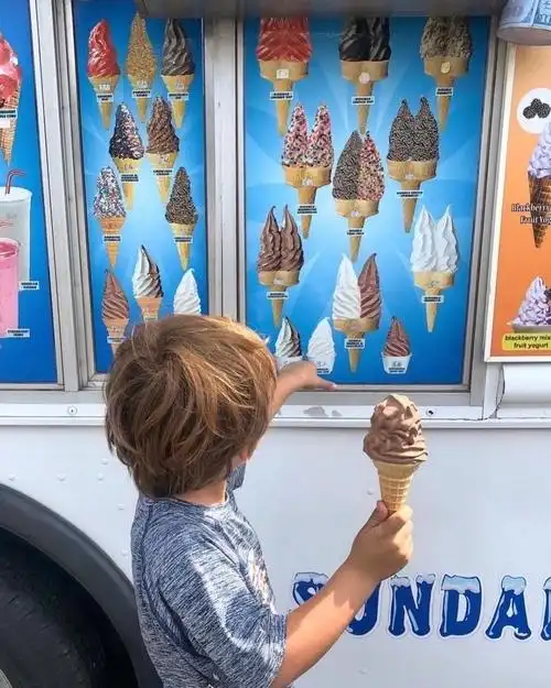 6686体育平台官方作者紫色蒲公英