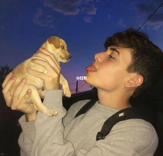 6686体育平台海外作者仅存姿态