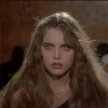 6686体育平台特邀作者Nolan