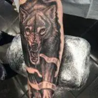 6686体育平台钻石作者Walter