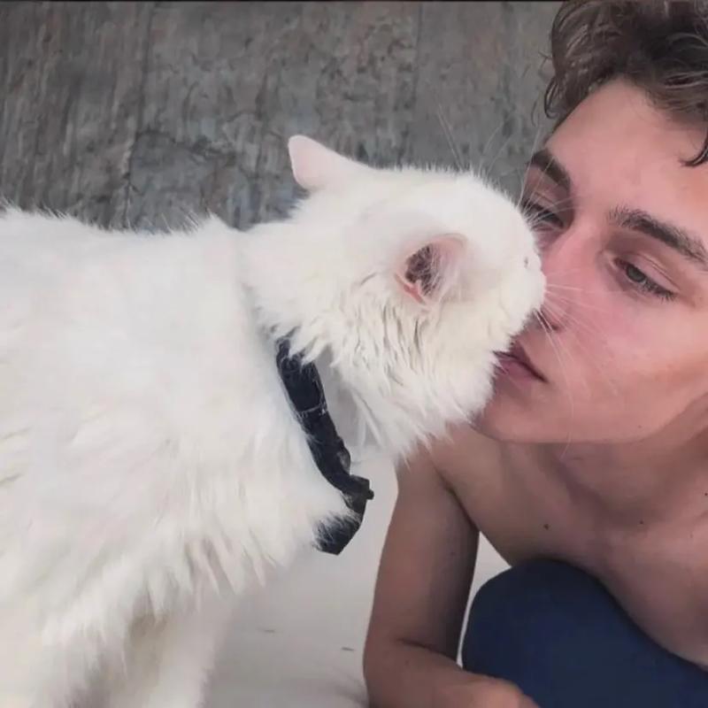 6686体育平台首席作者Theo