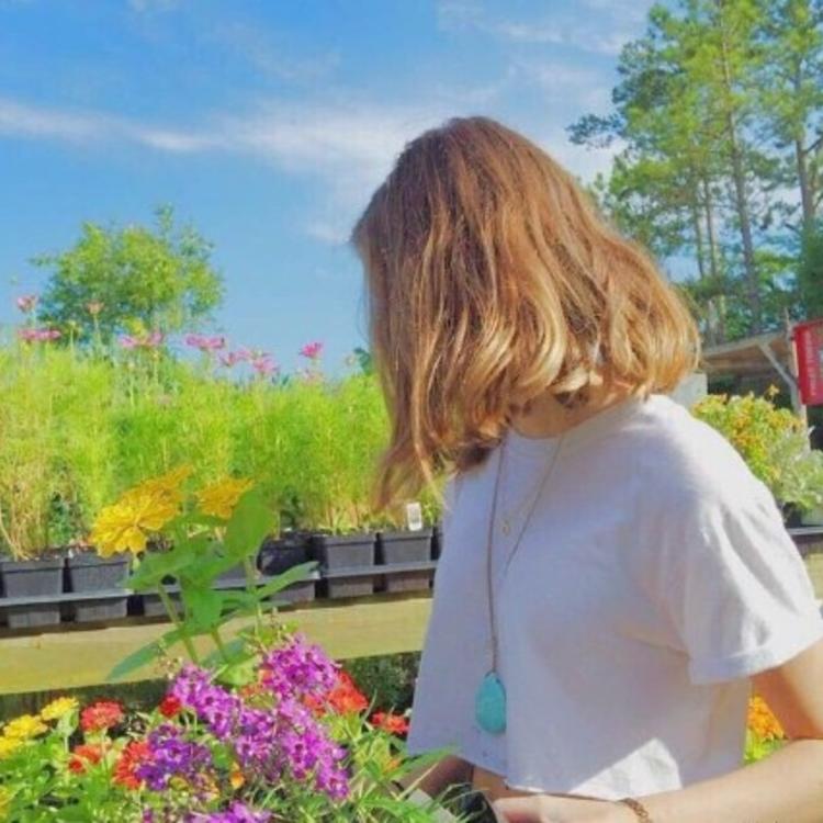 6686体育平台中级作者Jocasta