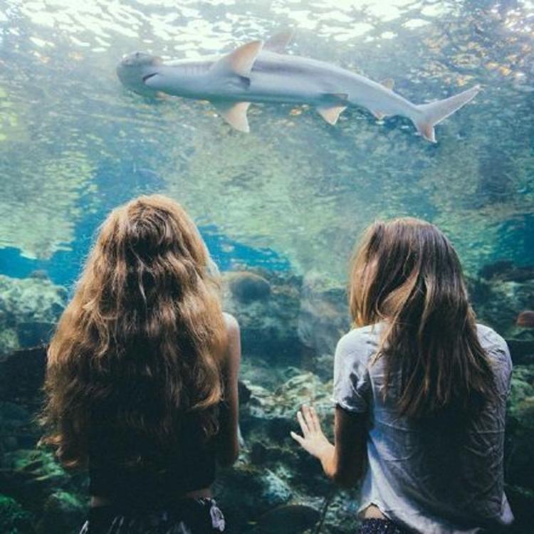 6686体育平台银牌作者Isla