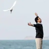 6686体育平台合作伙伴Kai