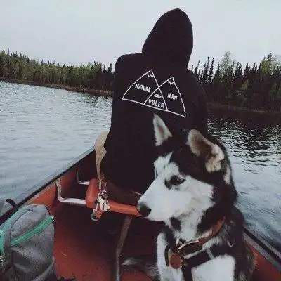 6686体育平台铁牌作者Wolfgang